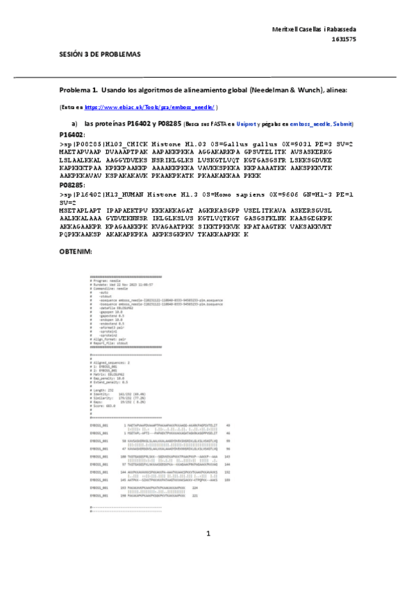 Miniatura del documento problemas-sesion-3Meritxell-Casellas-1631575.pdf