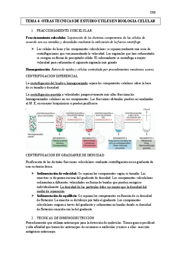 Miniatura del documento TEMA-4.pdf