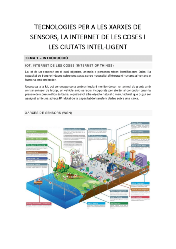 Miniatura del documento Resum-1.pdf