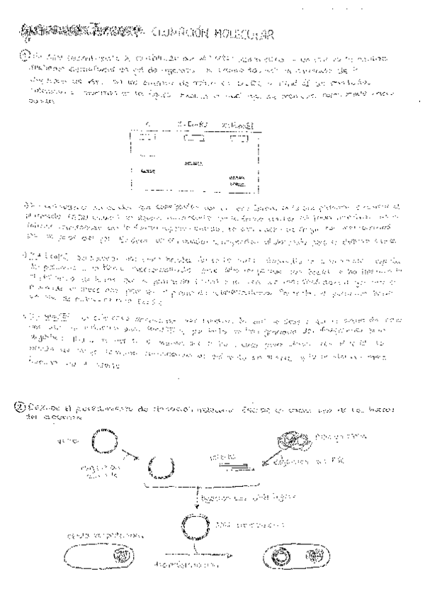 Miniatura del documento Ejercicios-genetica-T5.pdf