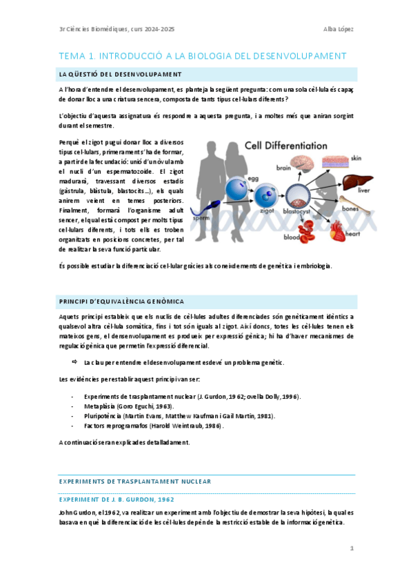 Miniatura del documento Tema-1.-Introduccio-a-la-biologia-del-desenvolupament.pdf