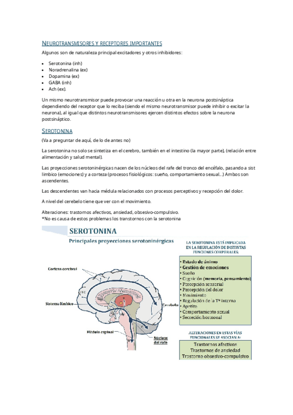 Miniatura del documento Neuroquimica-y-neuroendocrinologia-de-la-conducta.pdf