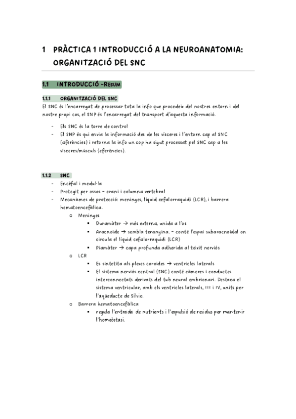 Miniatura del documento P1.Introduccio-a-la-neuroanatomia.pdf