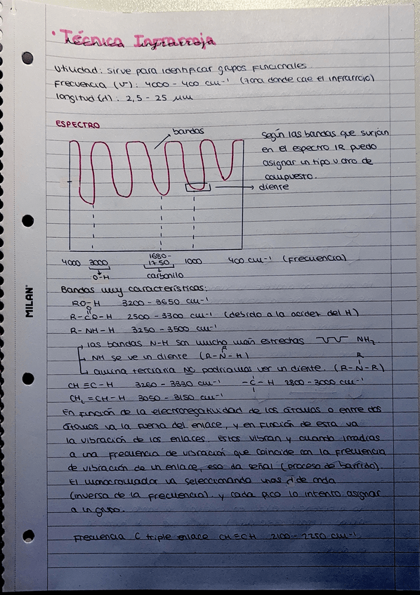 Miniatura del documento apuntes-IR-completos.pdf
