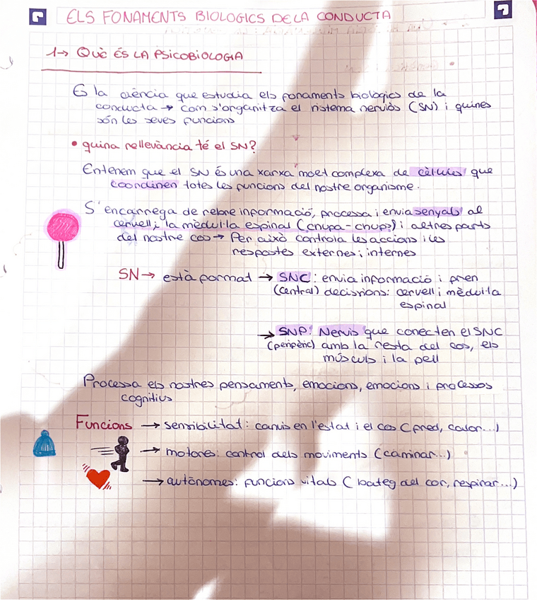 Miniatura del documento fonaments-biologics-de-la-cobducta.pdf