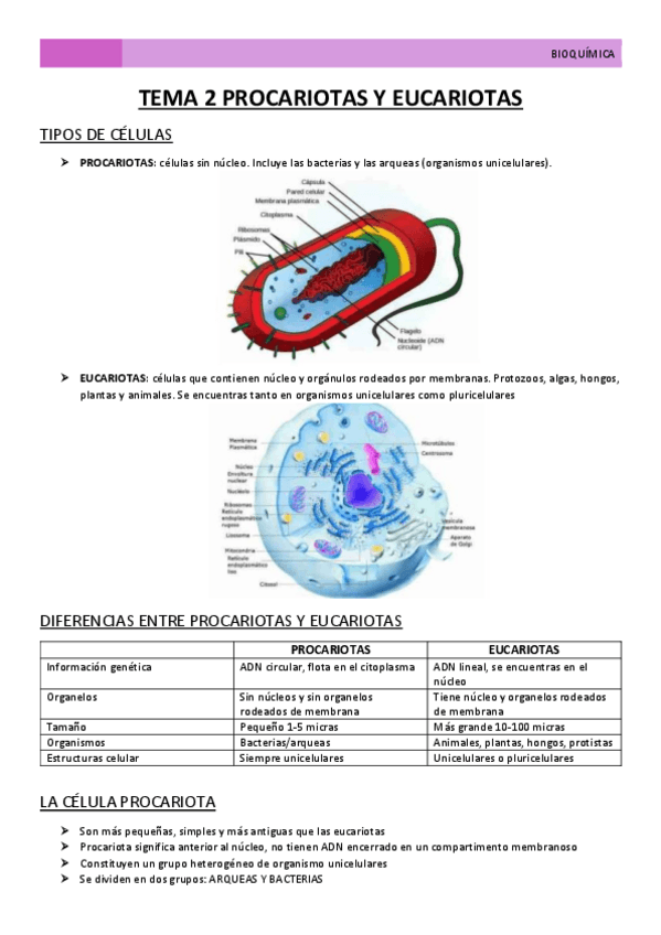 Miniatura del documento TEMA-2-PROCARIOTAS-Y-EUCARIOTAS.pdf