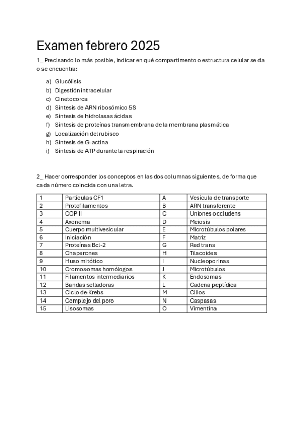 Miniatura del documento Examen-febrero-2025.pdf