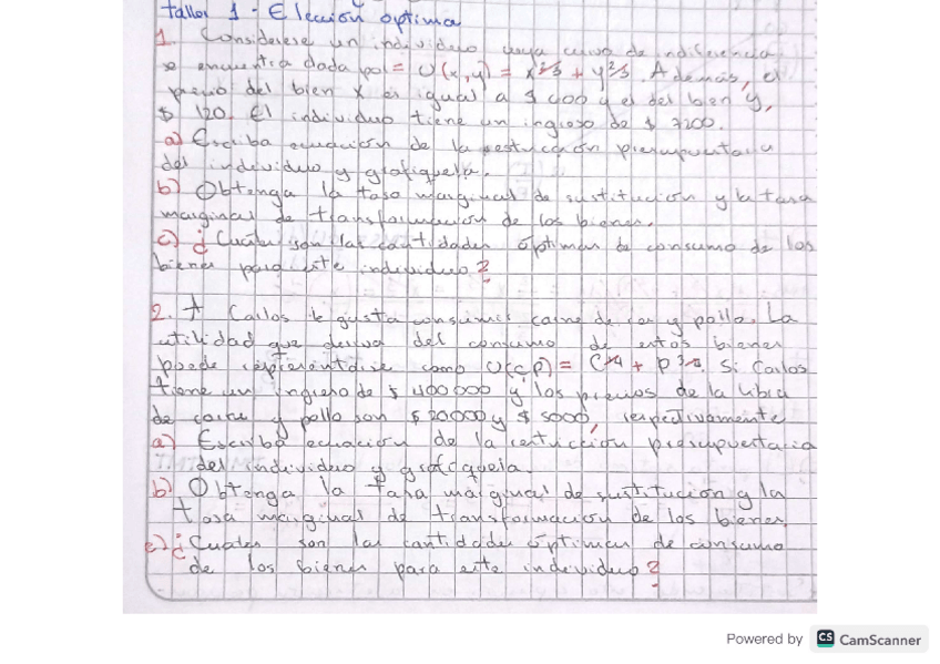 Miniatura del documento EJERCICIOS-Eleccion-optima-and-restriccion-presupuestaria.pdf