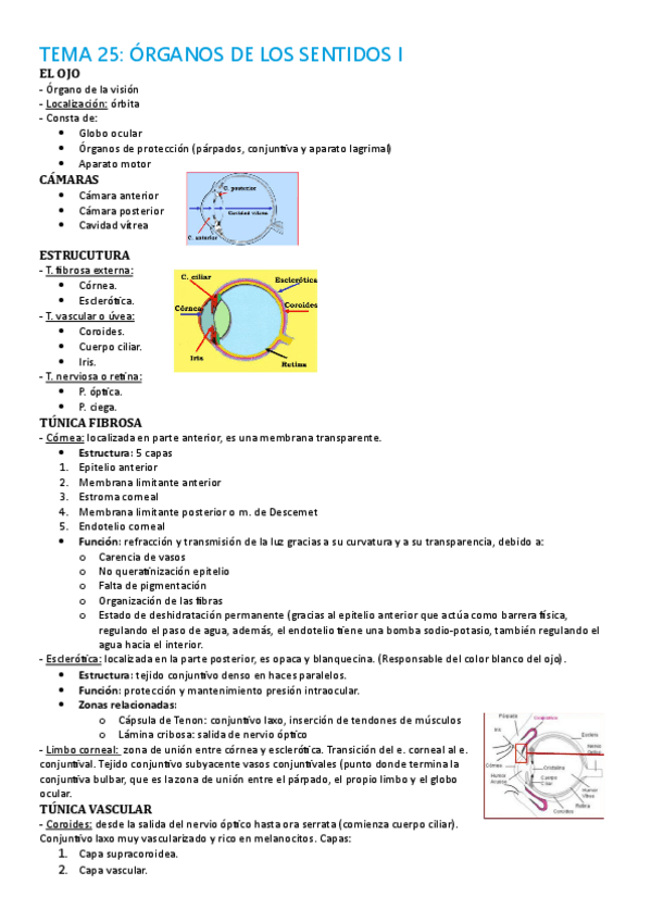 Miniatura del documento TEMA-25.pdf