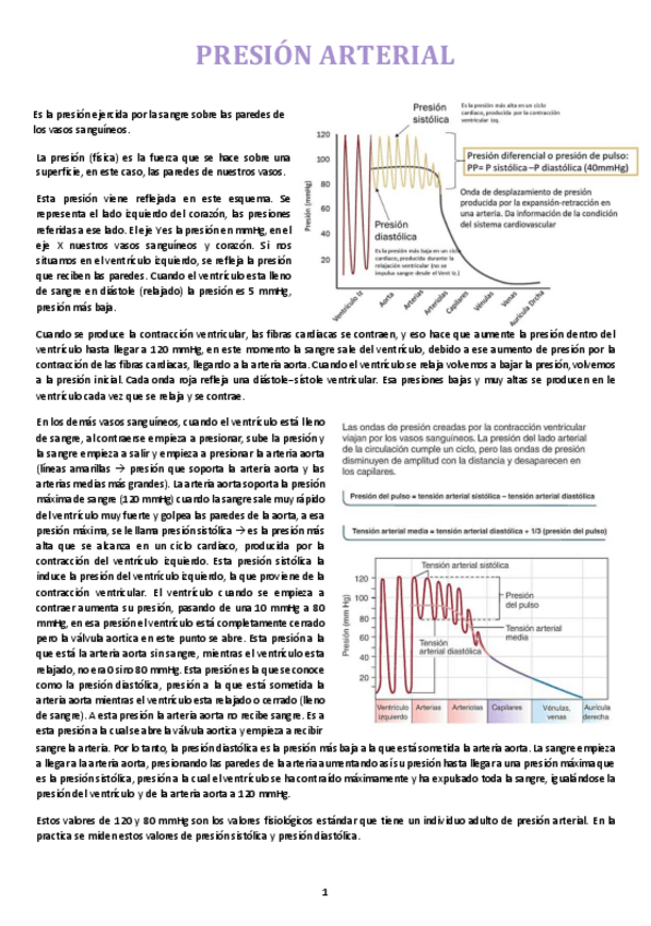 Miniatura del documento Presion-arterial--microtubulacion.-Curso-20242025.pdf