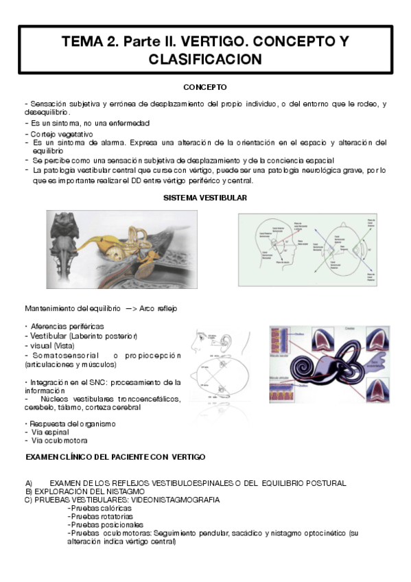 Miniatura del documento TEMA-2-PARTE-II.pdf