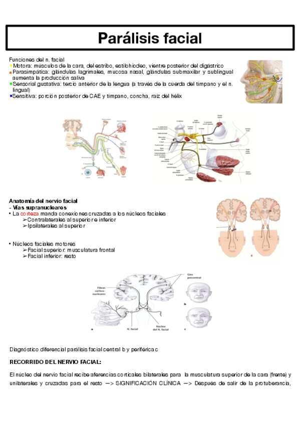 Miniatura del documento TEMA-5-PARTE-IV.pdf