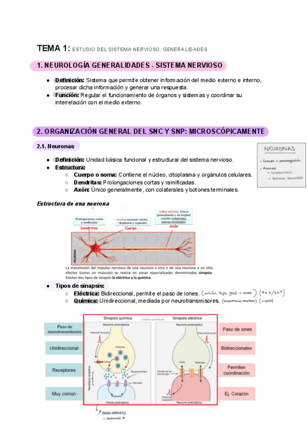 Miniatura del documento Anatomia-II--tema-1.pdf