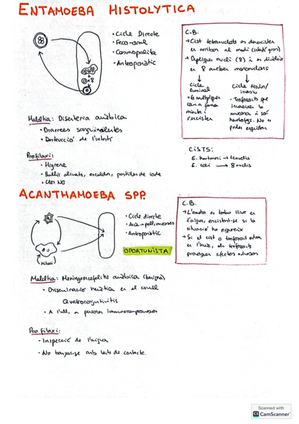 Miniatura del documento Fulls Resum Parasits Primer Parcial.pdf