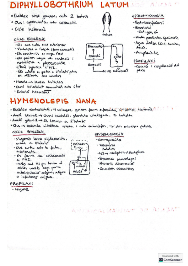 Miniatura del documento Fulls Resum Parasits Segon Parcial.pdf