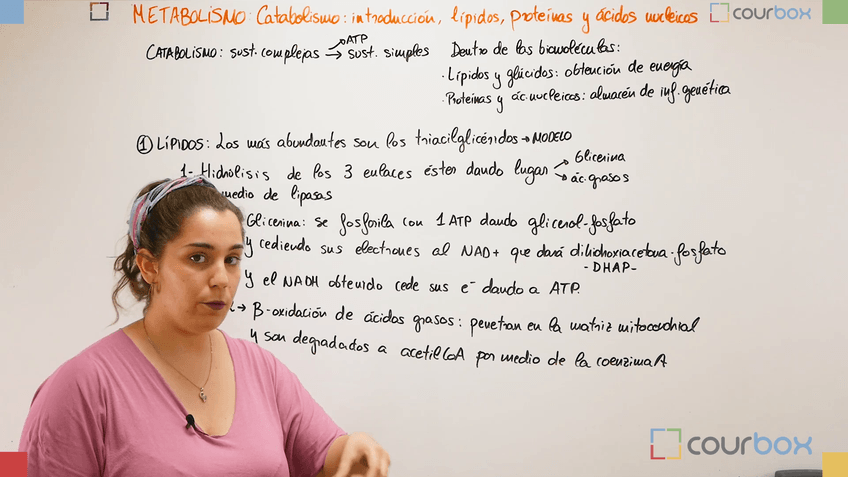 Miniatura del documento Leccion-3-Introduccion-a-los-catabolismos-lipidos-proteinas-y-acidos-nucleicos.mp4