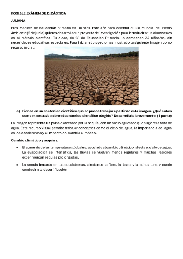 Miniatura del documento POSIBLE-EXAMEN-DE-DIDACTICA-copia.pdf