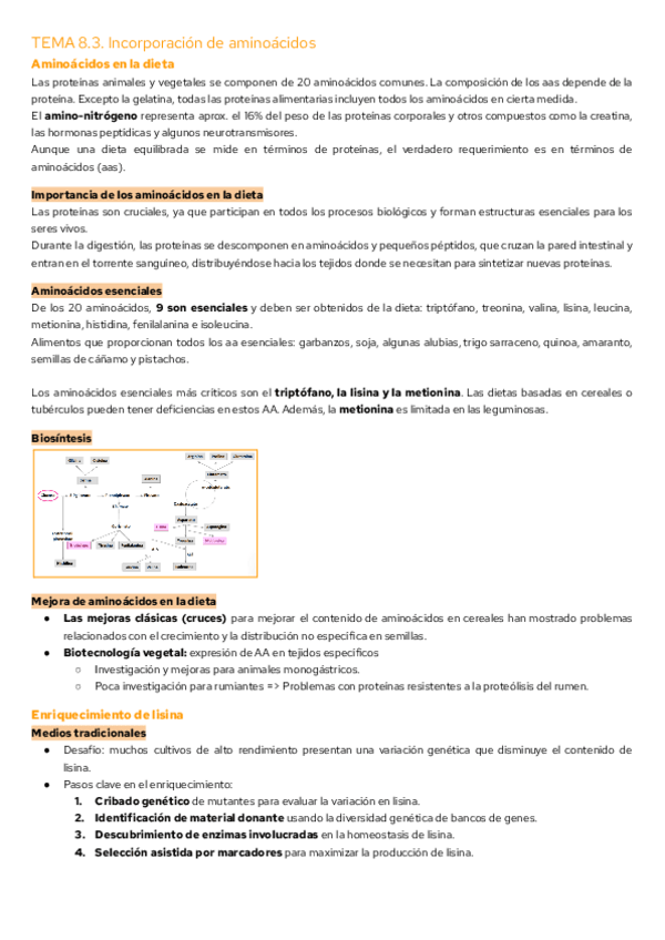 Miniatura del documento TEMA-8.3.-Incorporacion-de-aminoacidos.pdf