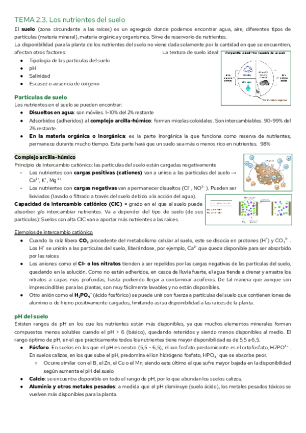 Miniatura del documento TEMA-2.3.-Los-nutrientes-del-suelo.pdf