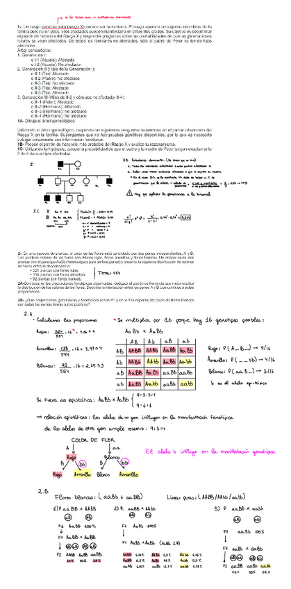 Miniatura del documento Serie-2-bloque-II.pdf