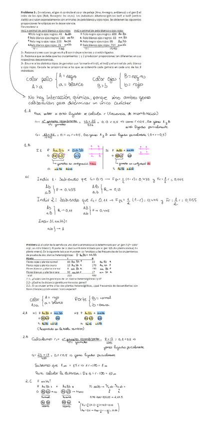 Miniatura del documento Serie-3-bloque-II.pdf