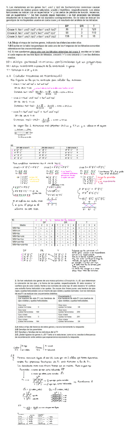 Miniatura del documento Serie-4-bloque-II.pdf