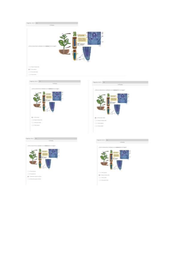 Miniatura del documento Actividad-02A.pdf