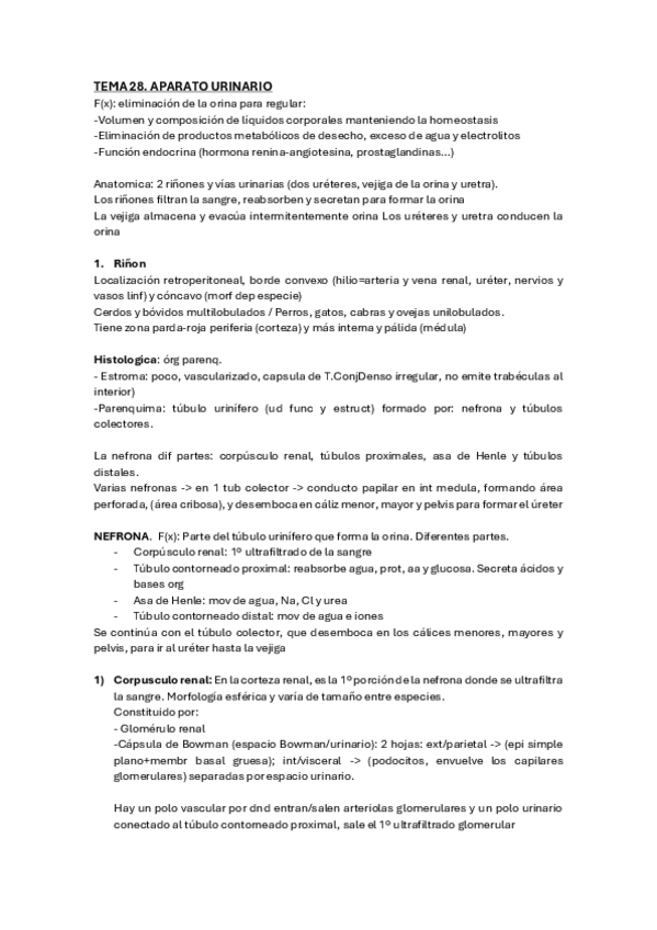 Miniatura del documento Tema-28-Aparato-urinario.pdf