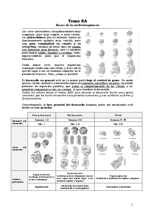 Miniatura del documento Tema-8A.pdf
