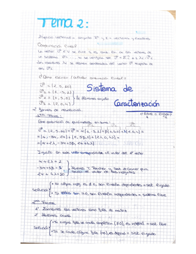 Miniatura del documento tema-2.pdf