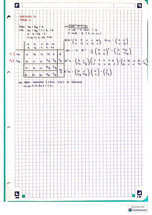 Miniatura del documento Apuntes-Tema-4-Matematicas-II.pdf