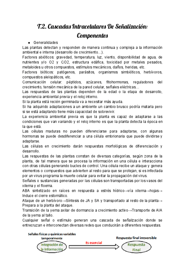 Miniatura del documento T.2.-Cascadas-Intracelulares-De-Senalizacion-Componentes.pdf