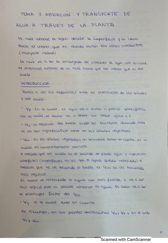 Miniatura del documento RESUMEN-TEMA-3.pdf