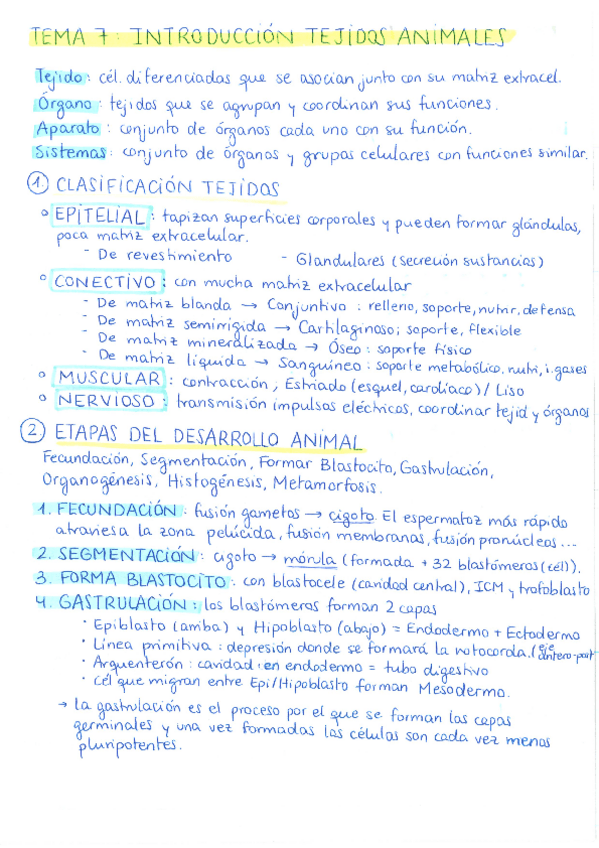 Miniatura del documento Esquemas-de-histologia-animal-y-practicas.pdf