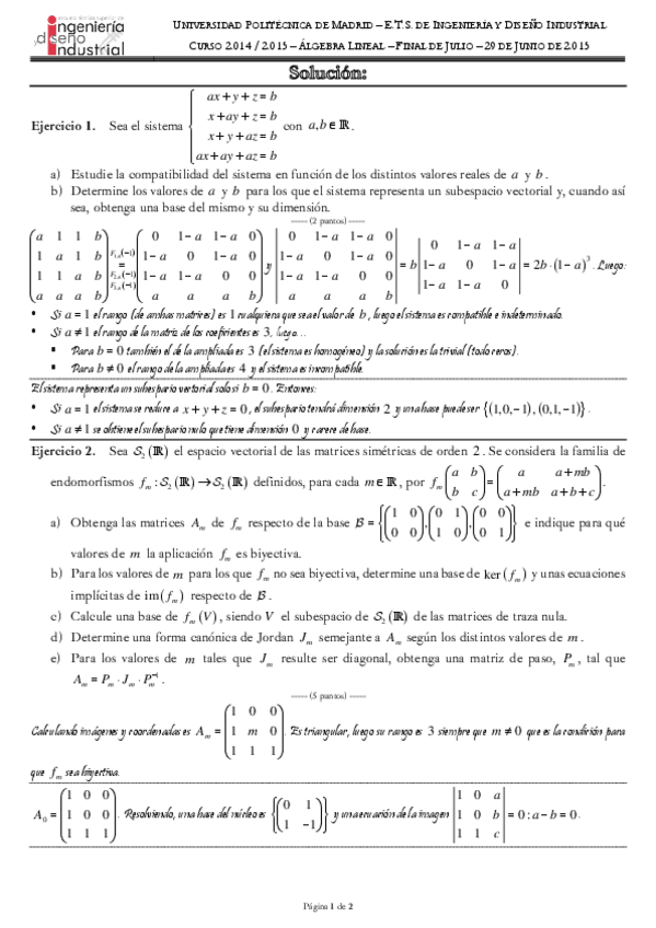 Miniatura del documento FinalJulioSol.pdf