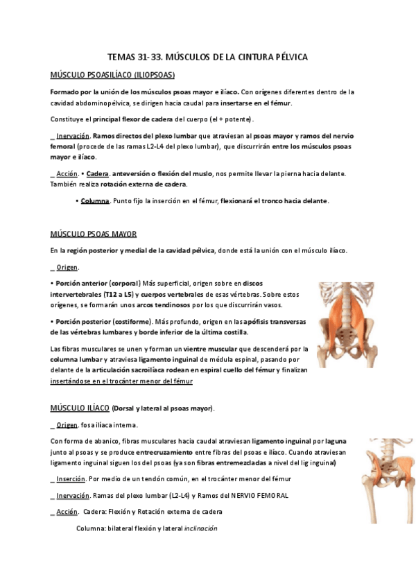 Miniatura del documento ANATOMIA-2C.pdf