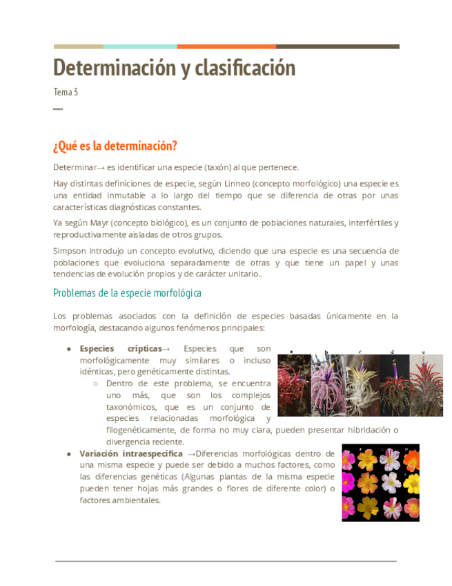 Miniatura del documento Tema-3-Determinacion-y-Clasificacion.pdf