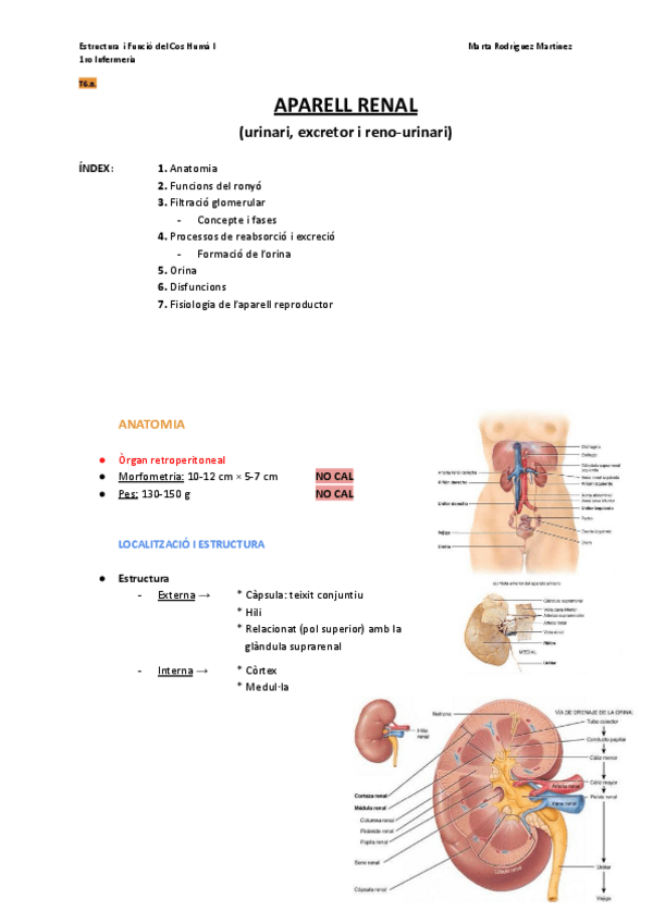 Miniatura del documento Bloc-VI-1.-Aparell-renal-urinari-excretor-i-reno-urinari.pdf