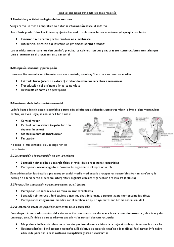Miniatura del documento Tema-2-neurobiologia-de-la-conducta.pdf