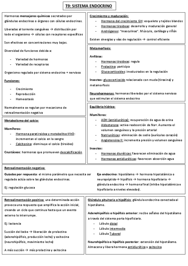 Miniatura del documento Esquema-tema-9.pdf