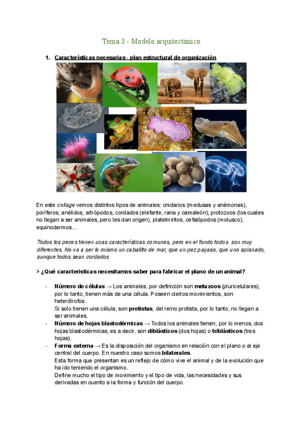 Miniatura del documento Tema-3-Modelo-arquitectonico.pdf