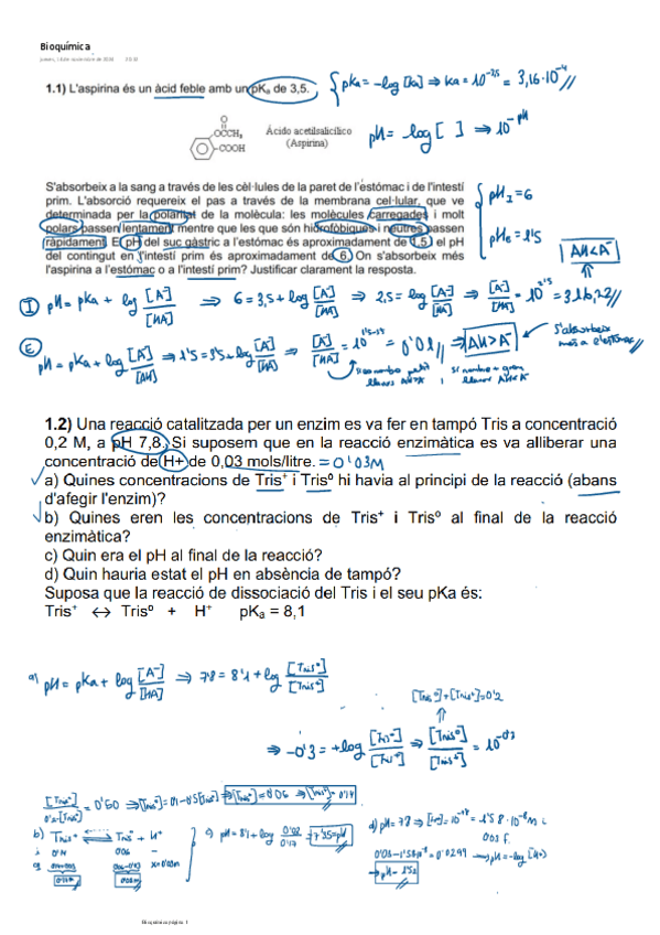 Miniatura del documento Bioquimica.pdf