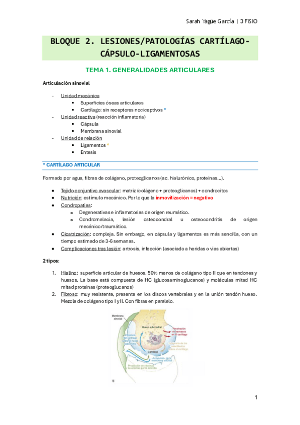 Miniatura del documento Bloque-2-T1-Generalidades-articular.pdf