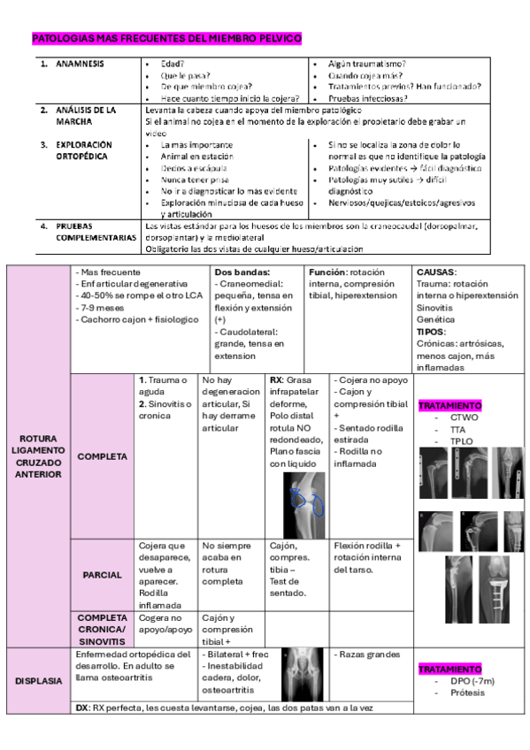 Miniatura del documento miembro-posterior-tablas.pdf