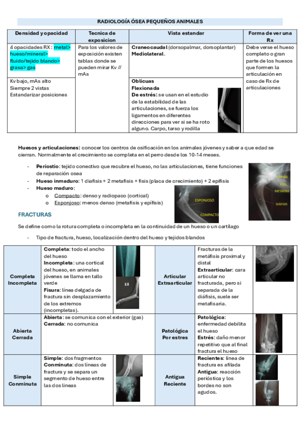 Miniatura del documento RADIOLOGIA-OSEA-PA.pdf