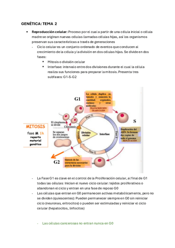 Miniatura del documento genetica-tema-2.pdf