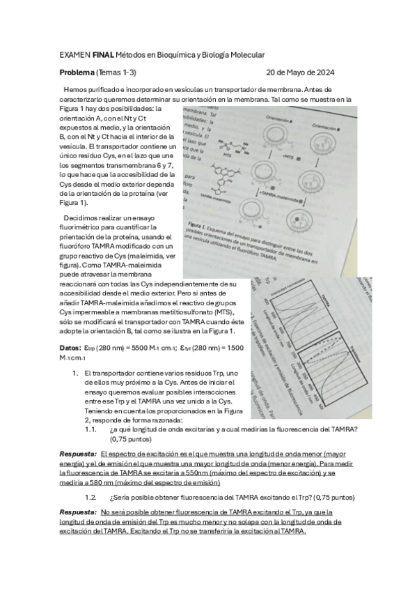 Miniatura del documento Examen-Problemas-MAYO 2024.pdf