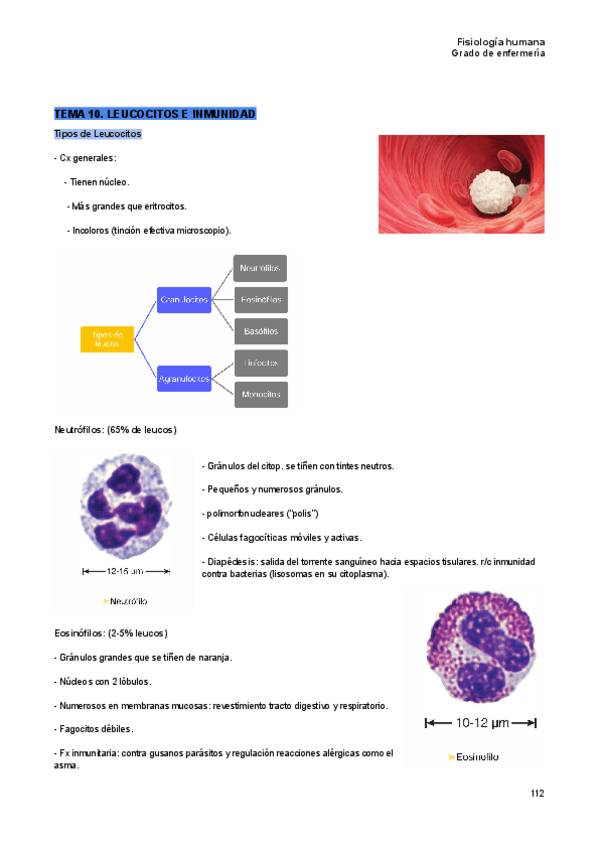 Miniatura del documento tema-10-fisiologia.pdf