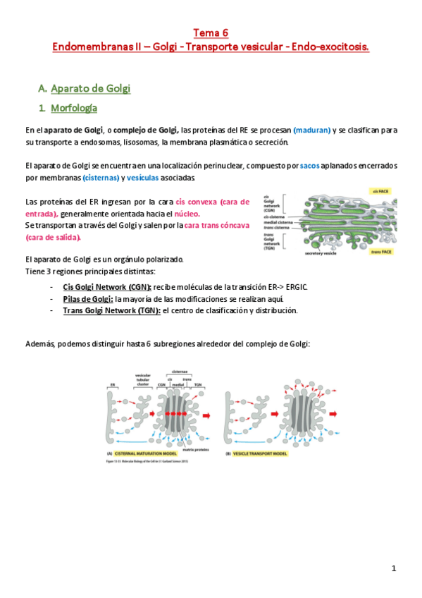 Miniatura del documento Endomembranas-II.pdf