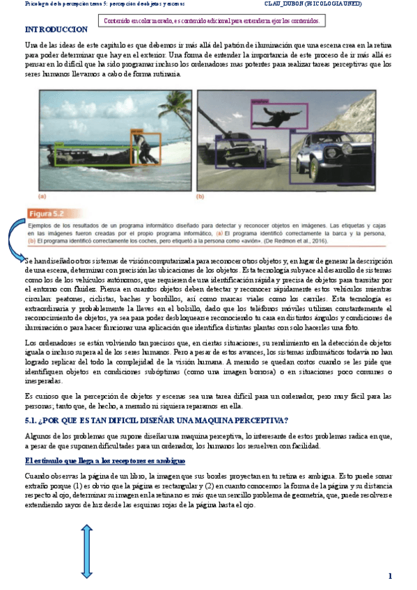 Miniatura del documento resumen-percepcion-tema-5-2025.pdf